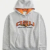 Boxy Oregon State University Beavers grafisk hoodie