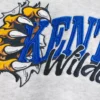 Boxy University of Kentucky Wildcats grafisk hoodie Boxy University of Kentucky Wildcats grafisk hoodie