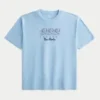 Boxy University of North Carolina at Chapel Hill Tar Heels Graphic Tee