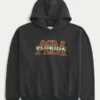 Florida A&M University Rattlers grafisk hoodie Florida A&M University Rattlers grafisk hoodie