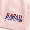 Hawaii Graphic Mid-Thigh Volley Swim Trunks