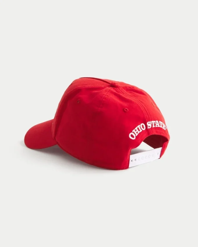 Ohio State University Buckeyes grafisk keps