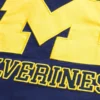University of Michigan Wolverines grafisk vindjacka University of Michigan Wolverines grafisk vindjacka